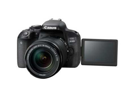 Canon EOS 800D + EF-S 18-135 IS STM.Picture3